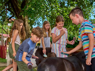 Bild 50 aus  Urlaub am Schoffahanslof im Bayerischen Wald: Natur, Abenteuer & Erholung für die ganze Familie“