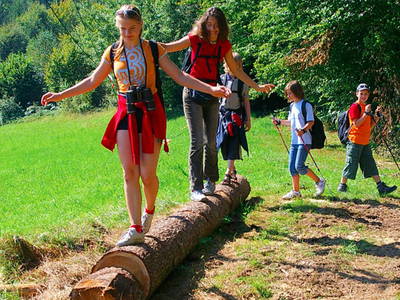 Bild 17 aus  Ferienhof Schmauß