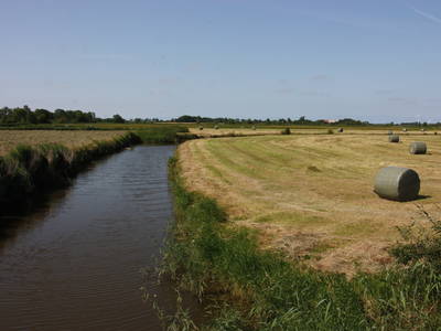 Bild 36 aus  Bauernhof Itzen