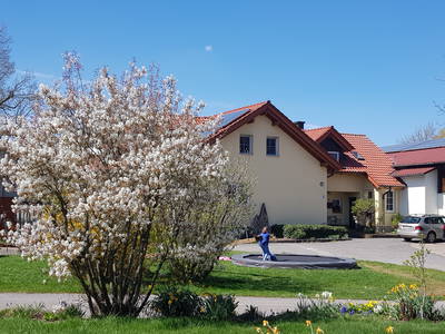 Bild 11 aus  Ferienhof Sennert im Odenwald