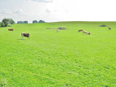 Bild 15 aus  Kebachhof