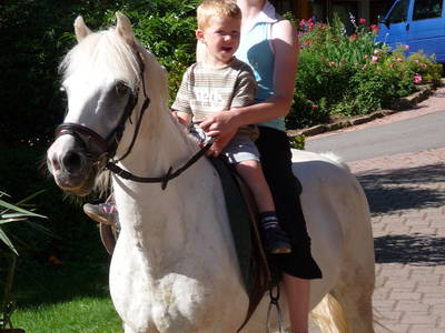 Bild 20 aus  Wellness-Bauernhof Eulersbacher Hof