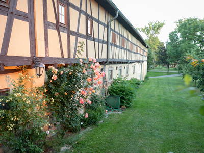 Bild 14 aus  Rittergut Schwanditz