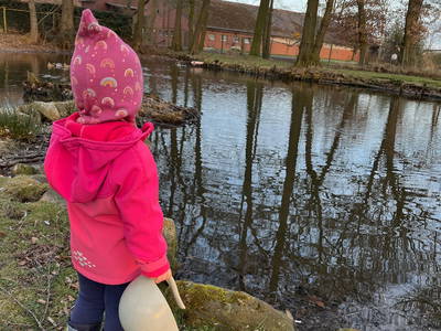 Bild 16 aus  Ferienhof Westermann