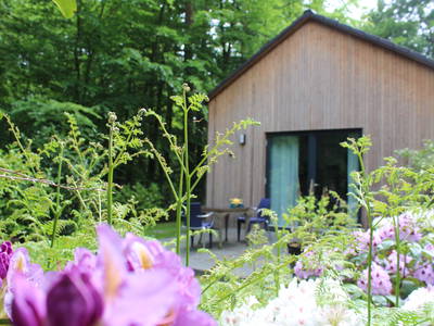 Bild 2 aus  Annas Haus am waldreichen Stadtrand Berlins