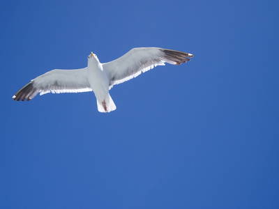 Bild 28 aus  Ferienhof Marquardt