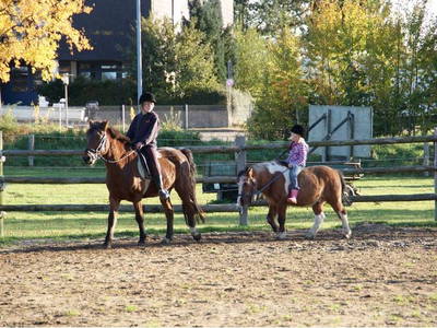 Bild 7 aus  Ferienhof Siemen