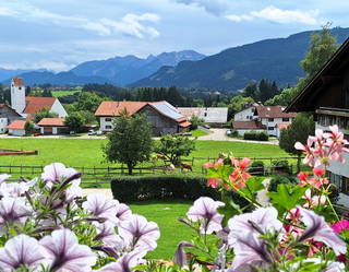 Pension Alpenblick - Alpenblick