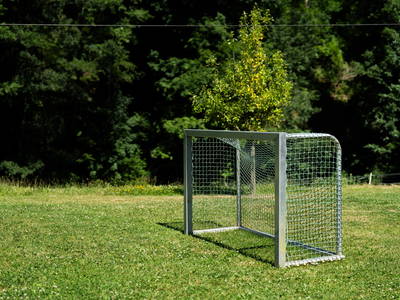 Bild 25 aus  Hanselishof