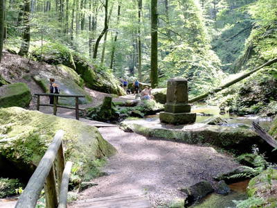 Bild 12 aus  Feriendorf Reinskopf