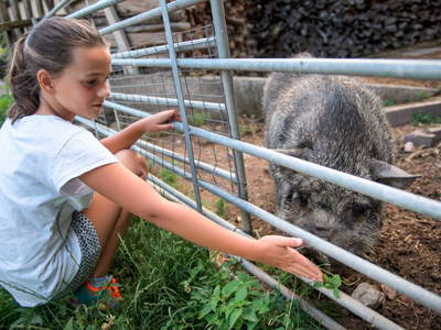 Bild 14 aus  Ferienhof Christmann