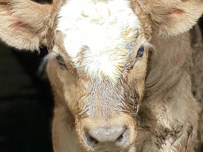 Bild 4 aus  Der Wassermannshof