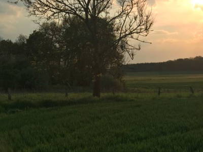 Bild 10 aus  Ferienhaus  Mecklenburg