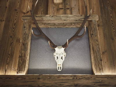 Bild 3 aus  Dreisessel-Chalets