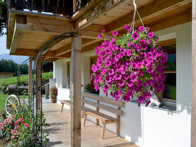 Bild 7 aus  Ferienhaus Bockstecken