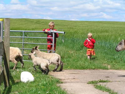 Bild 10 aus  Ferienhof KIEKUT