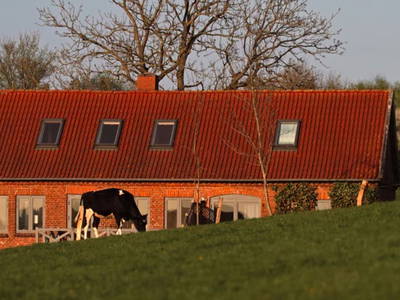 Bild 19 aus  Hof Hospitalmühle