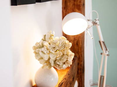 Bild 41 aus  Gut Boltenhof