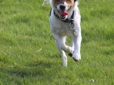 Bild 27 aus  Ferienhof Meetz