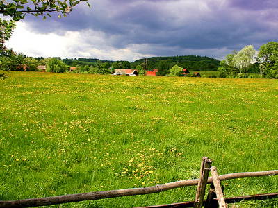 Bild 13 aus  Pokrzywnik 11