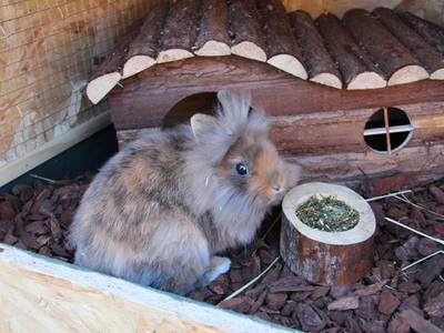 Bild 13 aus  Hof am KrämersBug