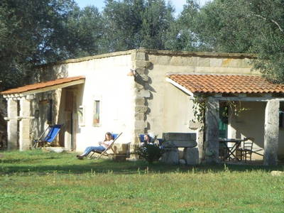 Endlich lesen, lesen, lesen. Hier am Eselinnenhaus.