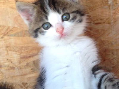 Bild 19 aus  Ferienhof Fink