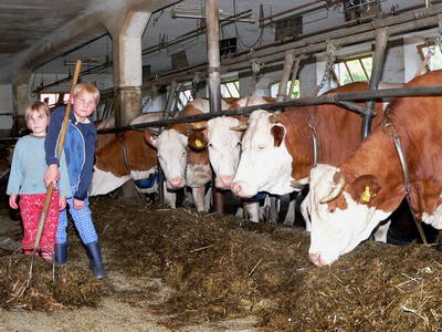 Bild 4 aus  Ferienhof Kopp