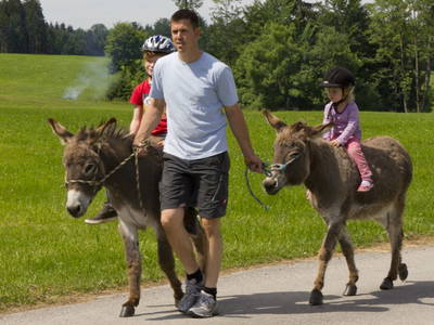 Bild 42 aus  LandSelection Gut Grasleiten