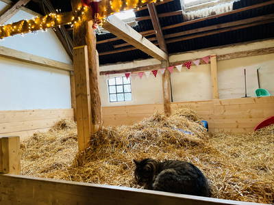 Bild 23 aus  Ferienhof Presener Deichkrone