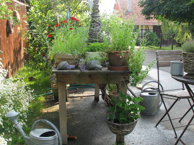 Bild 10 aus  Gut Waldhof