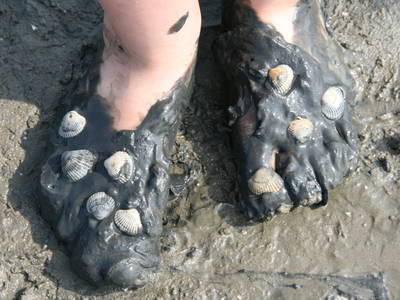 Wattfüße - Die Nordsee in Schnupperweite