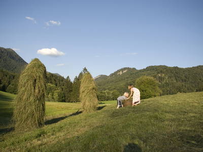 Bild 9 aus  Masererhof - Ferienbauernhof im Chiemgau