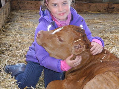 Bild 11 aus  Wagegger Hof