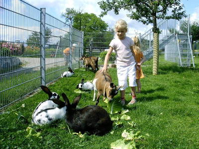 Bild 17 aus  Wimmerhof