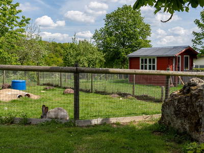 Kaninchengehege direkt am Spielplatz