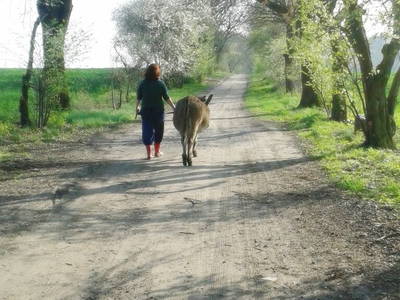 Spaziergang mit Esel. Entschleunigung pur!