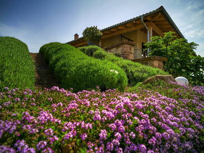 Bild 3 aus  Kräutergarten Klostermühle