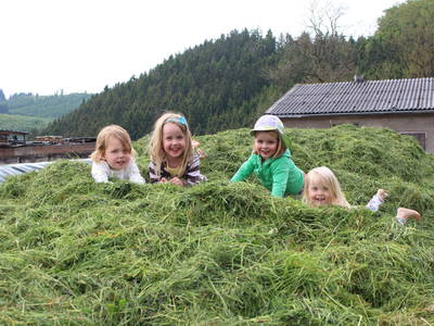 Bild 3 aus  Schellen Hof