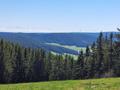 Ausblick vom Engel nähe Kalteherberge
