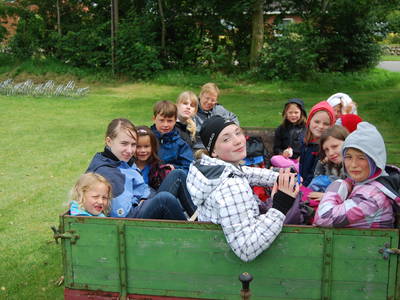 Bild 45 aus  Lindenhof