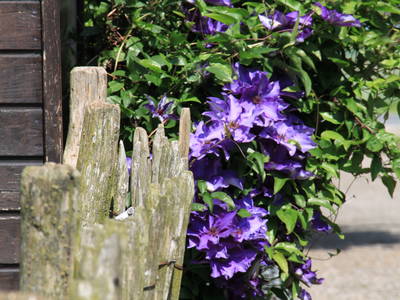 Bild 5 aus  Ferienhof Schoof