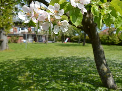 Bild 19 aus  Ostsee Ferienhof Kluvetasch