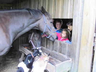 Bild 18 aus  Ferienhof Severin