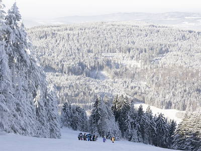 Bild 60 aus  Paulas Bauernhof im Bayerischen Wald