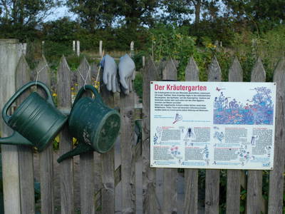 Kräutergarten  und Obstbüsche Naturerlebnishof Helle