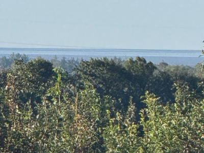Aussicht Gästezimmer zur Nordsee