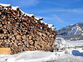 Bild 39 aus  Augustinerhof