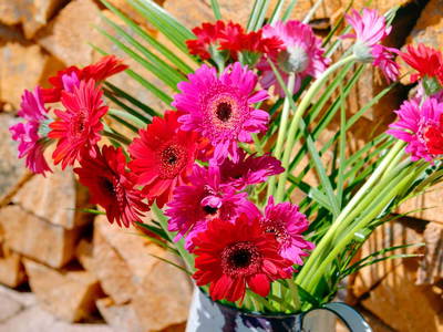 Bild 18 aus  AllgäuMax