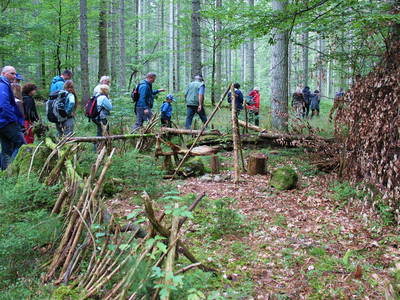 Bild 51 aus  Grashöfle